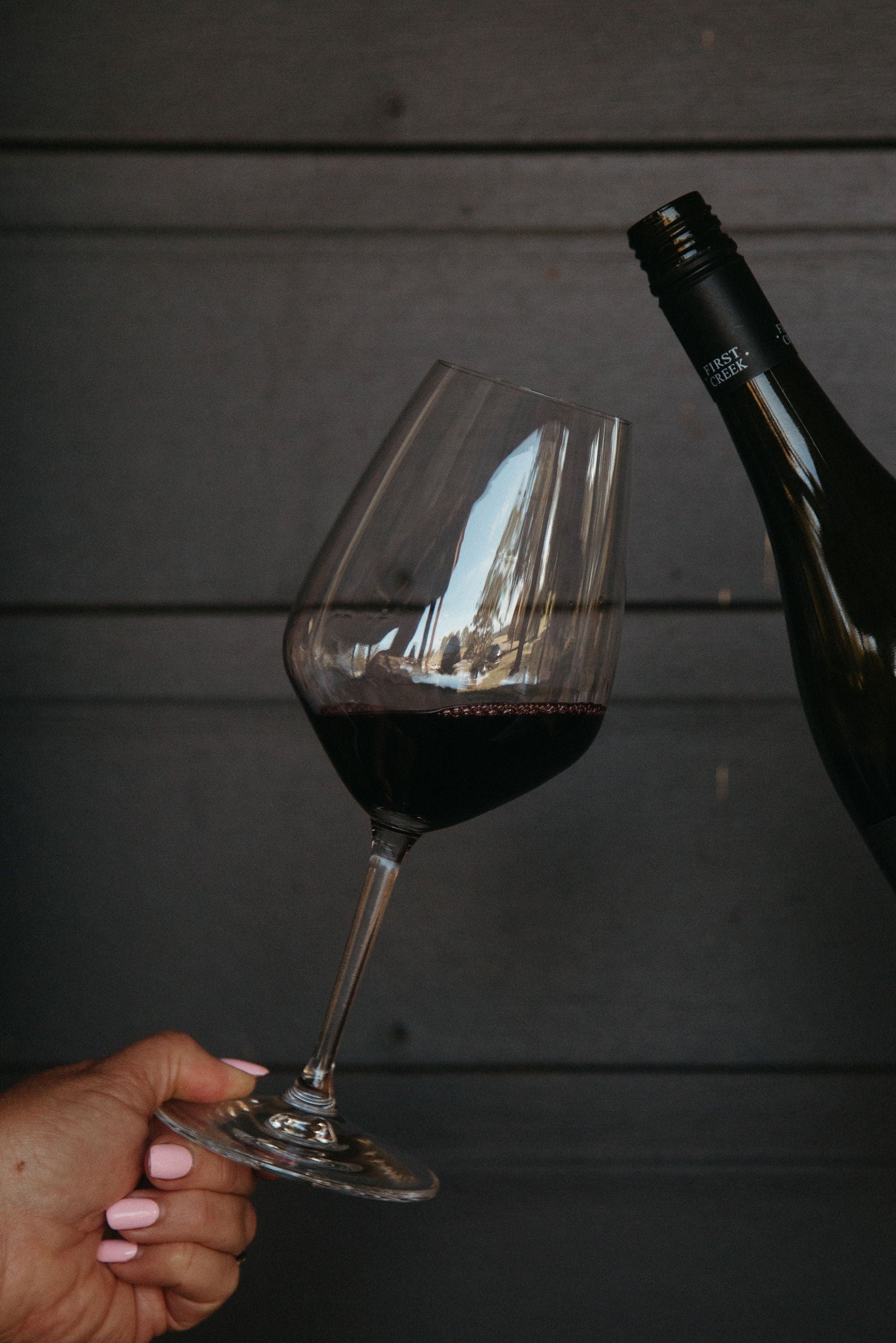 Day 4 – Unbeatable Half Price Shiraz